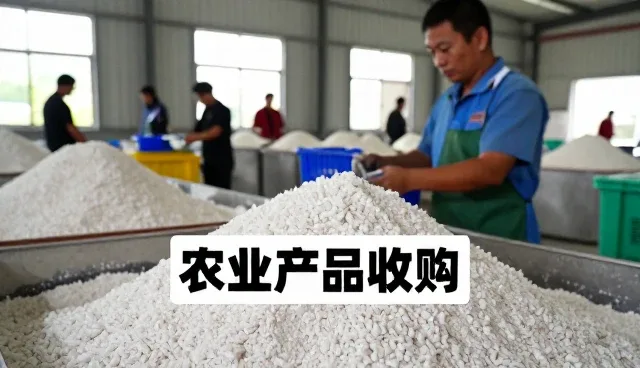 佛山市恒鲜农产品有限公司聊聊种植技术指导农产品收购